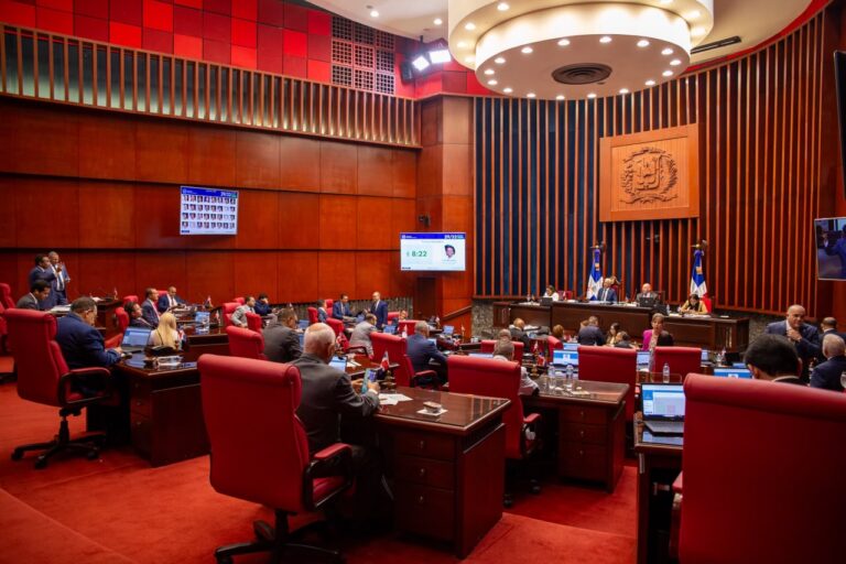 En maratónica sesión, el Senado aprueba en primera lectura reformas a Ley Orgánica de la Policía Nacional